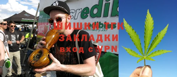 СК Волоколамск