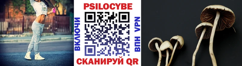 Псилоцибиновые грибы Psilocybe  Жуковка 